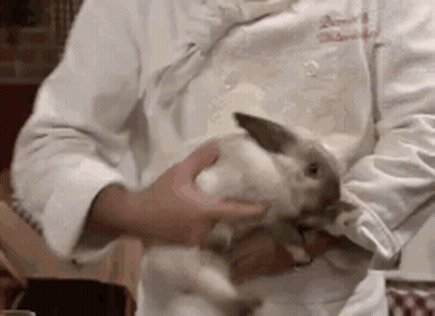 A Person In A White Coat Is Petting A Small White Rabbit GIF