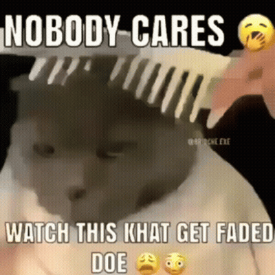 A Person Is Brushing A Cat 'S Hair With A Comb And The Cat Is Looking Sad . GIF