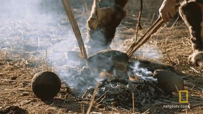 A Person Is Cooking Over A Fire With A National Geographic Logo In The Corner GIF