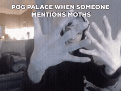 A Person Is Covering Their Face With Their Hands In Front Of A Camera . GIF