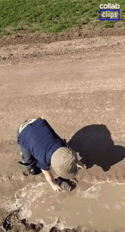 A Person Is Crawling Through A Muddy Puddle With A Collab Clips Logo In The Corner GIF