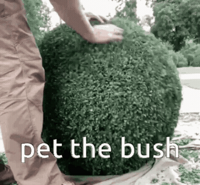 A Person Is Cutting A Bush With The Words " Pet The Bush " Below Them GIF