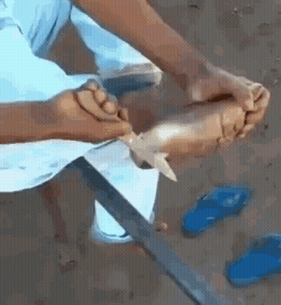A Person Is Cutting A Piece Of Paper With A Knife While Sitting On The Ground . GIF