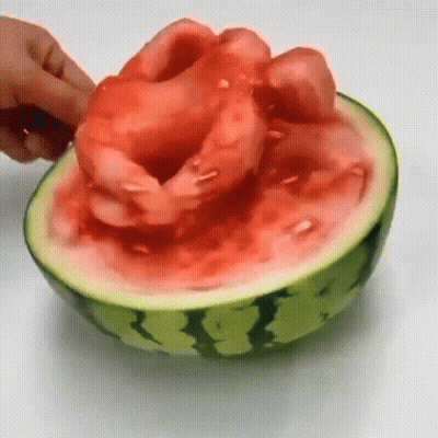 A Person Is Cutting A Watermelon Into Pieces On A Table . GIF