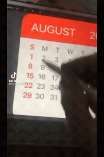A Person Is Drawing A Calendar For August 20 GIF