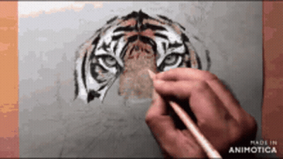 A Person Is Drawing A Tiger On A Piece Of Paper With A Pencil GIF