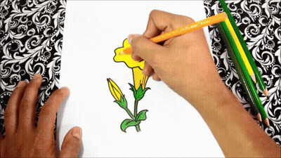 A Person Is Drawing A Yellow Flower With A Pencil That Says Faber Castell GIF