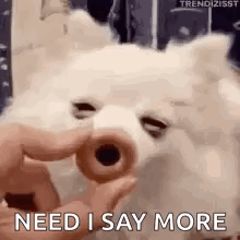 A Person Is Feeding A Dog A Donut With A Hole In Its Nose . GIF