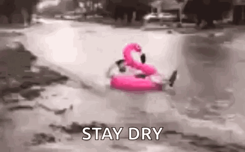 A Person Is Floating On A Pink Flamingo Float In A River . GIF