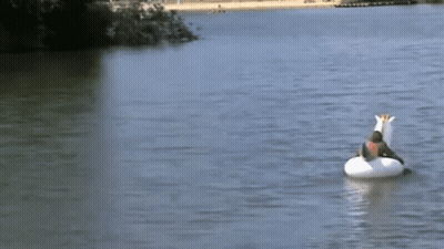 A Person Is Floating On A Unicorn Float In A Lake GIF