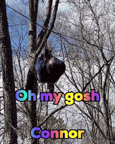 A Person Is Hanging Upside Down In A Tree With The Words Oh My Gosh Connor On The Bottom GIF