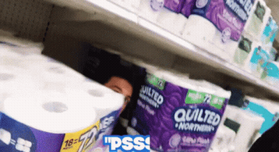 A Person Is Hiding Behind A Roll Of Quilted Northern Paper Towels GIF