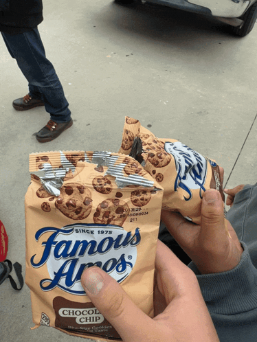 A Person Is Holding A Bag Of Chocolate Chip Famous Arods GIF