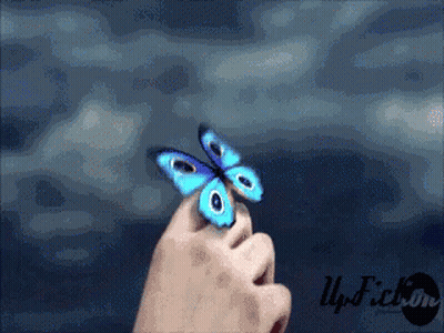 A Person Is Holding A Blue Butterfly In Their Hand In Front Of A Blue Sky GIF