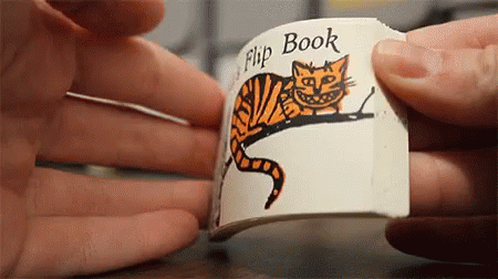 A Person Is Holding A Book With A Cat On It That Says Flip Book GIF