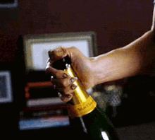 A Person Is Holding A Bottle Of Champagne With A Yellow Label GIF