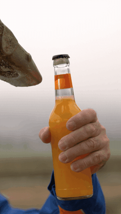 A Person Is Holding A Bottle Of Orange Juice In Their Hand GIF