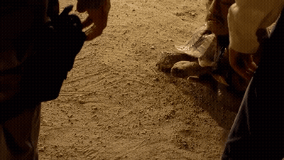 A Person Is Holding A Bottle Of Water In Their Hand In The Dirt . GIF