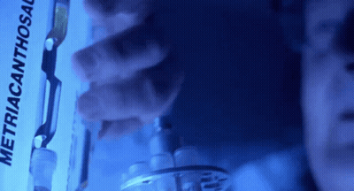 A Person Is Holding A Bottle With A Label That Says ' Metriacanthosaurus ' On It GIF
