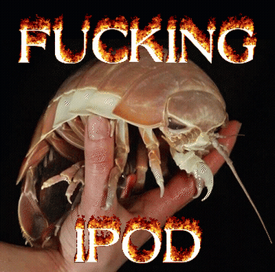 A Person Is Holding A Bug With The Words " Fucking Ipod " Written On It GIF