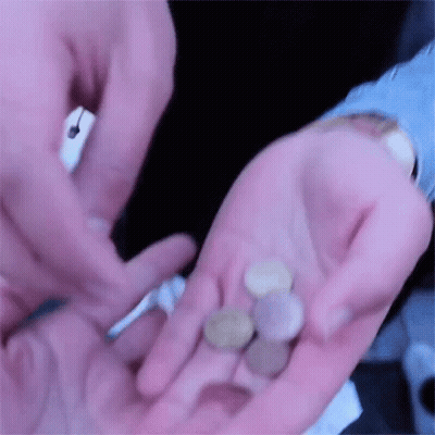 A Person Is Holding A Bunch Of Coins In Their Hand . GIF