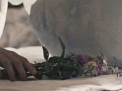 A Person Is Holding A Bunch Of Flowers In Their Hands . GIF