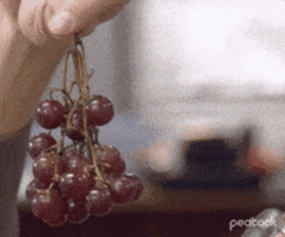 A Person Is Holding A Bunch Of Grapes Hanging From A Vine GIF