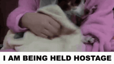 A Person Is Holding A Cat In Their Arms And The Words I Am Being Held Hostage Are Above Them . GIF