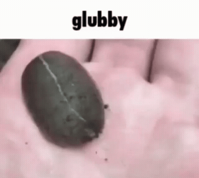 A Person Is Holding A Coffee Bean In Their Hand With The Word Glubby Written Above It GIF