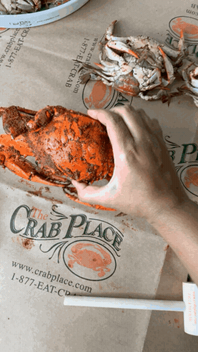 A Person Is Holding A Crab In Front Of A Crab Place Bag GIF