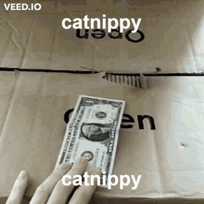 A Person Is Holding A Dollar Bill In Front Of A Cardboard Box With Catnippy Written On It GIF