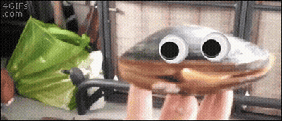 A Person Is Holding A Donut With Googly Eyes And The Gif Is From 4Gifs.com GIF