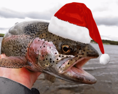 A Person Is Holding A Fish With A Santa Hat On It GIF
