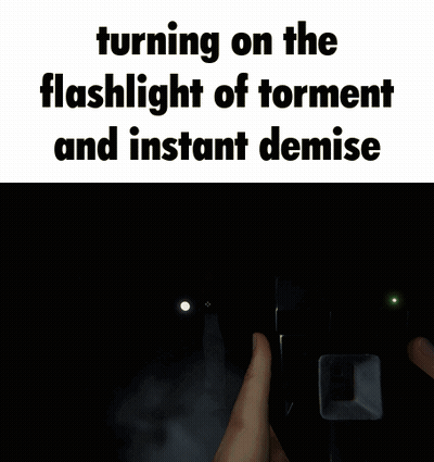A Person Is Holding A Flashlight In Front Of A Door With The Words " Turning On The Flashlight Of Torment And Instant De GIF