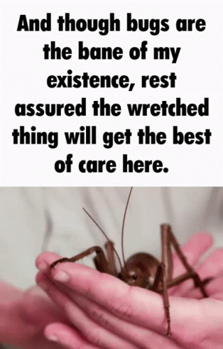 A Person Is Holding A Grasshopper In Their Hands With A Quote About Bugs In The Background GIF