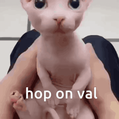 A Person Is Holding A Hairless Cat That Says Hop On Val On It GIF