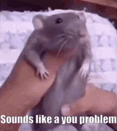 A Person Is Holding A Hamster In Their Hand With The Words `` Sounds Like A You Problem '' Written On It . GIF