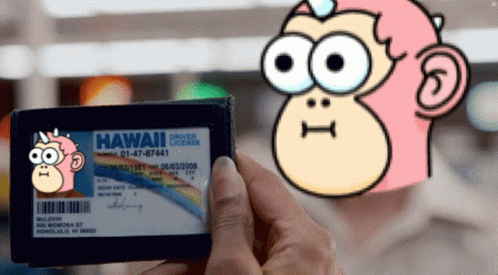 A Person Is Holding A Hawaii Driver License In Front Of A Cartoon Monkey GIF