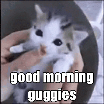 A Person Is Holding A Kitten In Their Hands With The Words `` Good Morning Guggies '' Written Above It . GIF