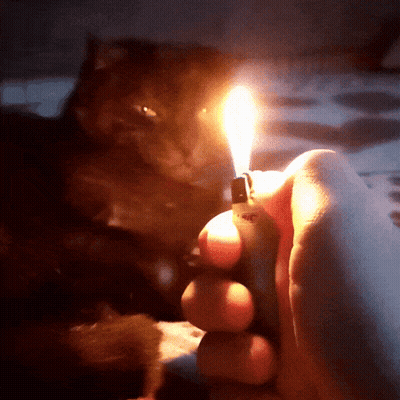 A Person Is Holding A Lighter With A Bic Logo On It GIF