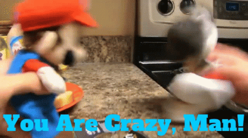 A Person Is Holding A Mario Doll In Front Of A Stove With The Words " You Are Crazy Man " On The Bottom GIF