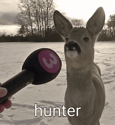 A Person Is Holding A Microphone In Front Of A Deer That Says Hunter On It GIF