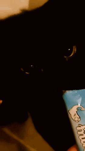 A Person Is Holding A Package Of Cat Treats In Front Of A Cat GIF