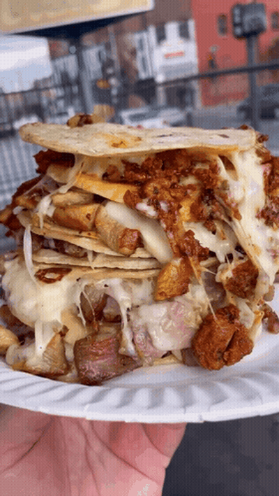 A Person Is Holding A Paper Plate With A Sandwich On Top Of It GIF