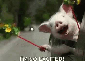 A Person Is Holding A Pig On A Leash And The Pig Is Smiling . GIF