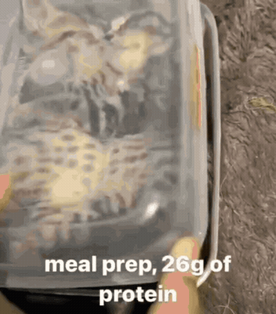 A Person Is Holding A Plastic Container Of Food With The Words Meal Prep 26G Of Protein Written On It . GIF