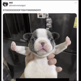 A Person Is Holding A Puppy With Their Arms Outstretched In Front Of A Fridge GIF