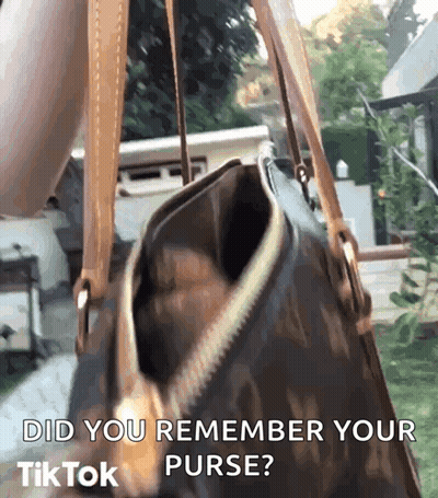 A Person Is Holding A Purse With The Words Did You Remember Your Purse GIF