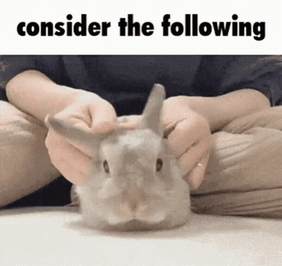 A Person Is Holding A Rabbit With The Words " Consider The Following " Above It GIF