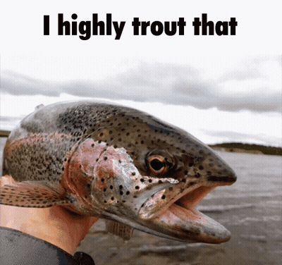 A Person Is Holding A Rainbow Trout With The Words I Highly Trout That Above It GIF